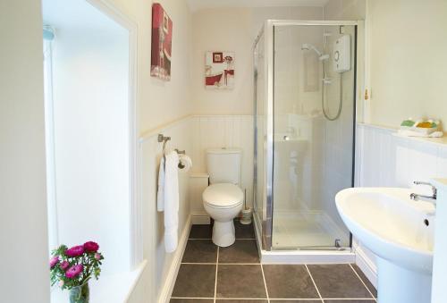 a bathroom with a toilet and a shower and a sink at Heather Cottage in Gillamoor