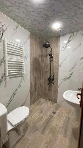 a bathroom with a toilet and a sink at Altunyan Hotel in Yerevan