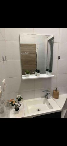 ein Bad mit einem Waschbecken und einem Spiegel in der Unterkunft Sans souci in Brüssel