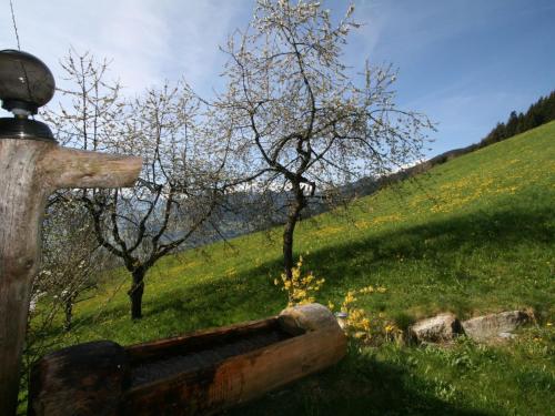 a wooden bench in a field of grass with trees at Apartment Tom by Interhome in Schlitters