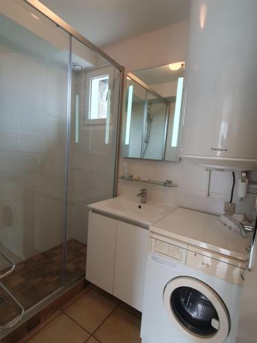 a bathroom with a washing machine and a shower at Apartment L' Hermine by Interhome in Saint-Jouan-des-Guérets
