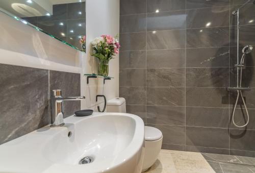 a bathroom with a shower and a sink and a toilet at Downbridge Lodge in Hoxne