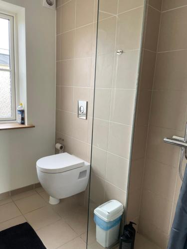 een badkamer met een toilet en een glazen douchecabine bij Søglimt in Viborg