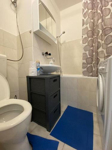 a bathroom with a white toilet and a sink at Apartmán U Mendláku in Brno