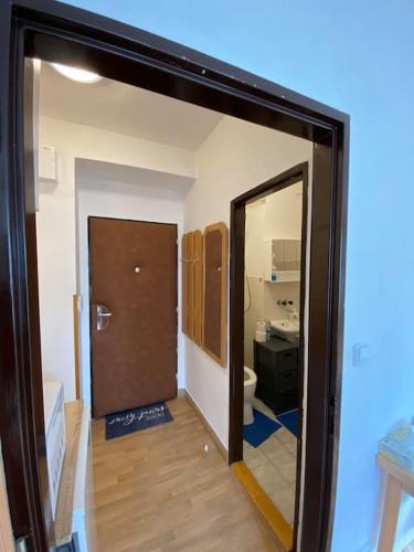a bathroom with a door leading to a toilet at Apartmán U Mendláku in Brno