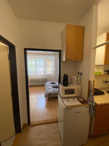 a kitchen with a refrigerator and a microwave at Apartmán U Mendláku in Brno