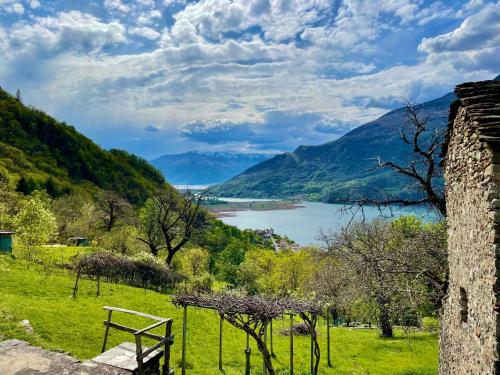 a bench in a field with a view of a lake at Holiday Home Maria by Interhome in Verceia