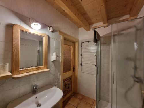a bathroom with a shower and a white sink at Appartamento Adamello 7 in Pinzolo
