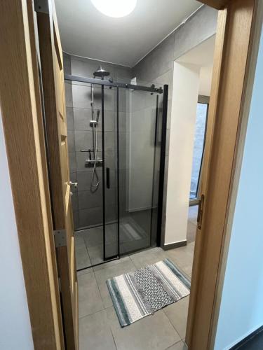a bathroom with a shower with a glass door at FDS Cosy Apartment in Ghent