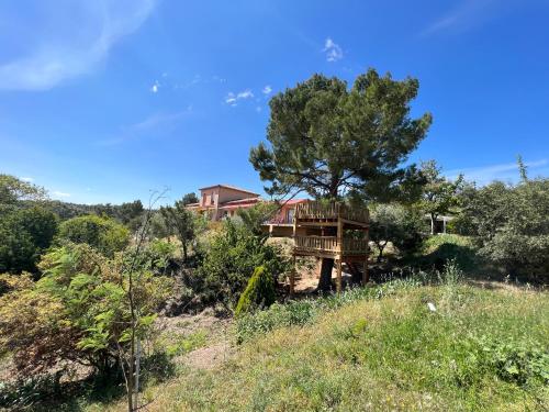 a house on top of a hill with a tree at DOMAINE MAXXIM in Clermont-lʼHérault