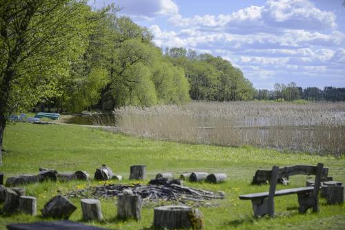 a park with a bench in the grass and a lake at Dvarčėnų dvaras in Dvarčėnai