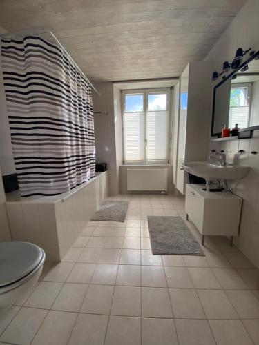 a white bathroom with a sink and a toilet at Hostellerie des Princes-Evêques - La Fleur de Lys in Porrentruy