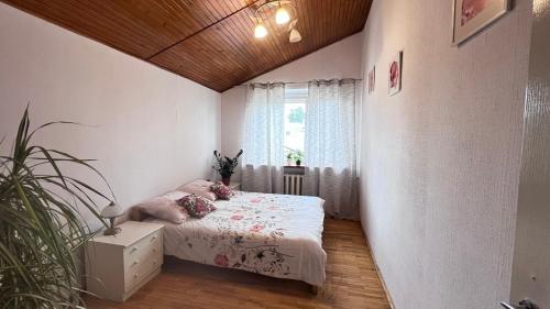 ワルシャワにあるHostel POPLAWOKのベッドルーム(ベッド1台、鉢植えの植物付)