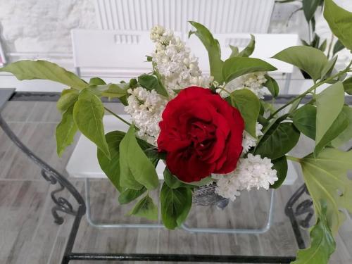 een vaas met een rode roos en witte bloemen bij The Burren Art Gallery built in 1798 in Tubber
