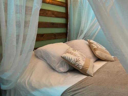 ein Bett mit zwei Kissen und einem Baldachin in der Unterkunft Escapade Zen Oasis Tropicale Spa Privatif in Loon-Plage