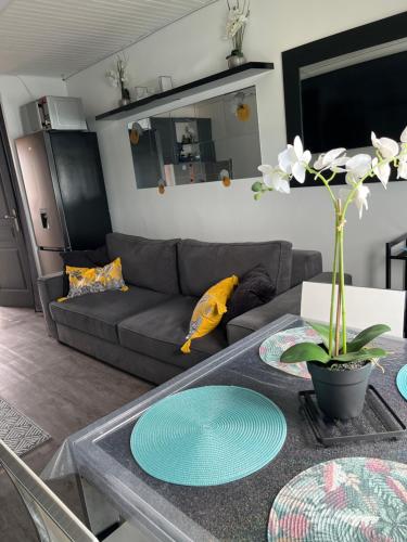 - un salon avec un canapé et une table dans l'établissement 46 Île Paradise Vue Port, au Cap d'Agde
