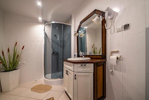 La salle de bains est pourvue d'un lavabo et d'une douche. dans l'établissement Pokoje Nicole, à Władysławowo