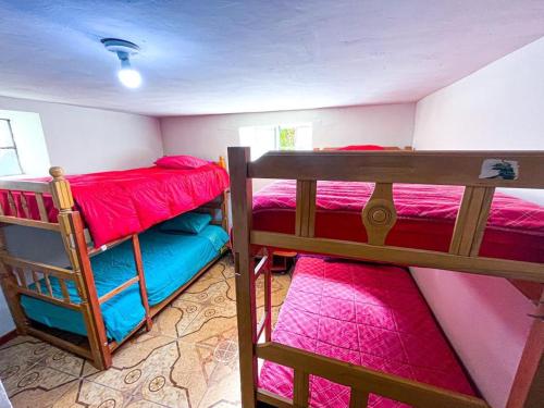 two bunk beds in a room with pink walls at Hostel Climbing Point in Huaraz