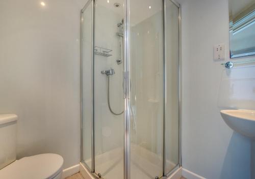 a bathroom with a shower with a toilet and a sink at Monicas House 8 Porthmeor Square in St Ives