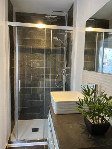 a bathroom with a shower and a plant on a counter at Location saisonnière 1 in Clermont-lʼHérault