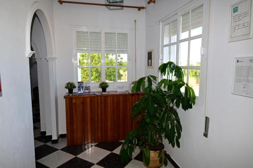 Habitación con escritorio y maceta. en Hostal Los Rosales, en Conil de la Frontera