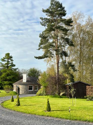 Zahrada ubytování Balsoon Lodge