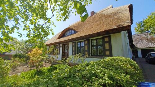 an old house with a thatched roof at FW Im grünen Weg in Wustrow