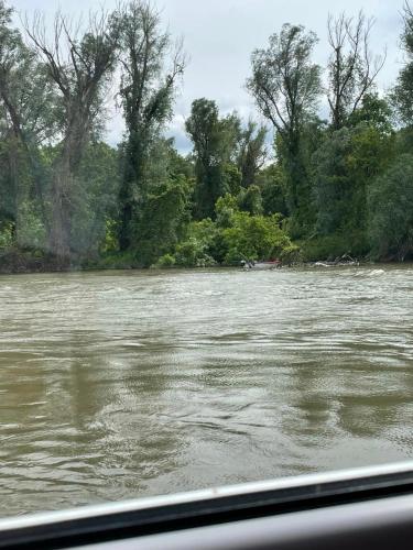 a view of a river from a car window at Small Cabin on river Jabukov cvet in Banatski Brestovac