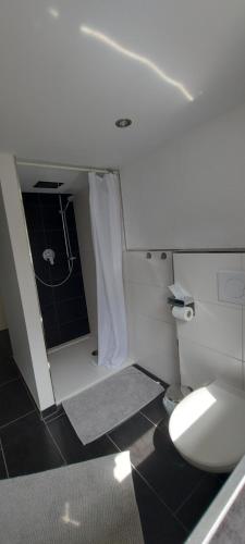 a bathroom with a white toilet and a shower at Traumblick Südpfalz in Burrweiler