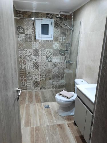 a bathroom with a toilet and a sink and a shower at Two Brothers Studios Tsilivi Zakynthos in Tsilivi