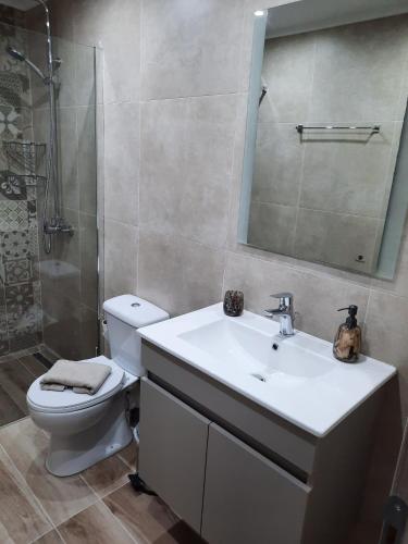 a bathroom with a toilet and a sink and a mirror at Two Brothers Studios Tsilivi Zakynthos in Tsilivi