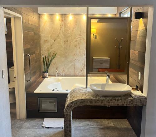 帕丘卡德索托的住宿－戴爾法利酒店，浴室配有盥洗盆和浴缸。