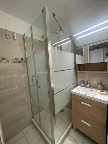 une salle de bain avec douche et lavabo dans l'établissement Appartement Village Vacances Cap Esterel, à Saint-Raphaël
