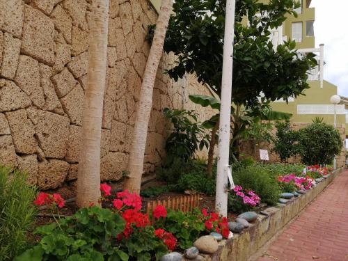Apartamento Costa Adeje - Orlando Complex