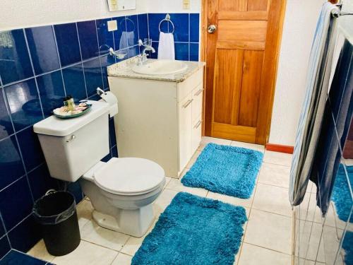 a bathroom with a toilet and two blue rugs at La Mona Beach House in Jacó