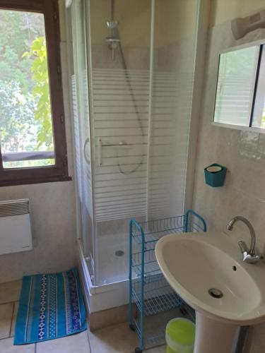 a bathroom with a sink and a shower at Ferme La Siberie in Entrevaux