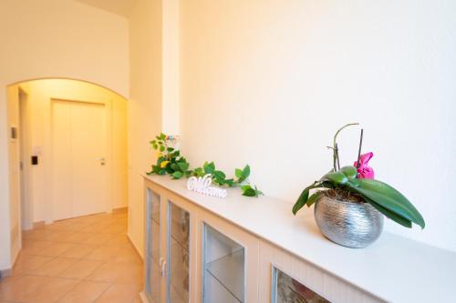 a room with a counter with a potted plant on it at Casa Mian - Bed and Breakfast in Orosei