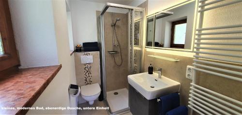 ein Bad mit einem Waschbecken, einer Dusche und einem WC in der Unterkunft Ferienhaus hoch oben mit Alpen Panorama Königssee- Nichtraucherdomizil in Berchtesgaden