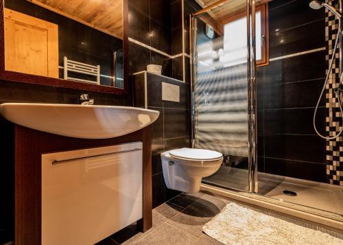 une salle de bain avec un lavabo, des toilettes et une douche dans l'établissement Appartement dans un chalet typique de montagne à La Rosière, à Montvalezan