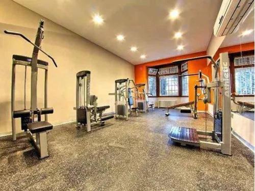 Centrul de fitness și/sau facilități de fitness de la Opera Luxury Condominium