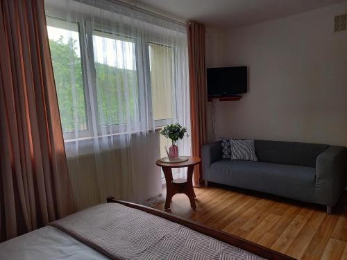 uma sala de estar com um sofá e uma mesa em Apartamenty AGAT em Pieszyce