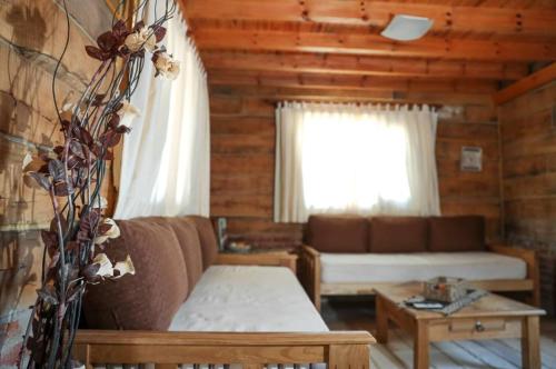 sala de estar con sofá y ventana en Cabañas del Peñon 2 - 2 dorm en La Cumbrecita