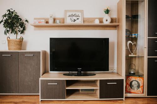 TV en un centro de entretenimiento de madera en una sala de estar en SPACIOUS COZY APARTMENT ORADEA, en Oradea