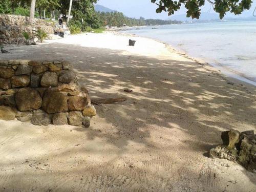Landskap semula jadi dekat dengan apartmen