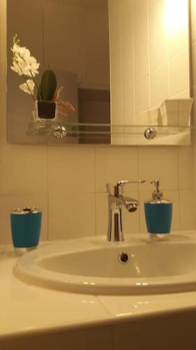 La salle de bains est pourvue d'un lavabo, d'un miroir et d'une plante. dans l'établissement Bel appartement au coeur de la cité médiévale, à Sommières