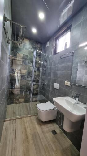 a bathroom with a toilet and a sink and a shower at Shekvetili Holiday House - Day Off in Shekvetili