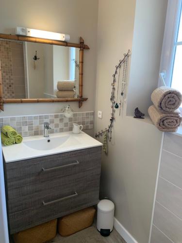 ein Bad mit einem Waschbecken, einem Spiegel und einer Dusche in der Unterkunft Chez Viviane in Fontaine-Étoupefour
