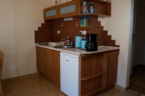 a kitchen with a sink and a counter top at Willa Świerkowa in Dębina
