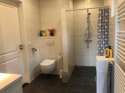 een kleine badkamer met een toilet en een douche bij De Daalse Oase in Aalten