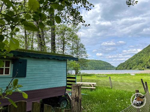 a blue shed in a field next to a lake at Parc animalier du Hérisson in Doucier